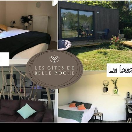 Les Gites De Belle Roche Mâcon Екстериор снимка